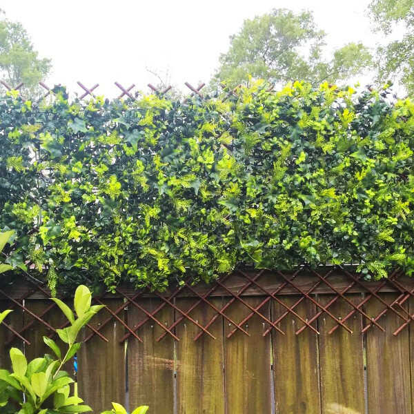 Expandable Willow Trellis with Vines